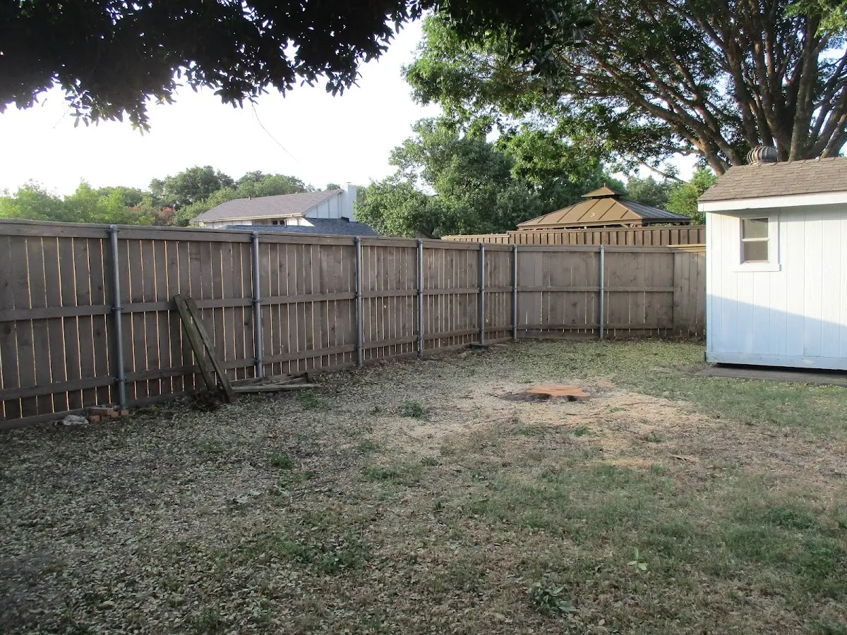 Cleared yard after professional tree removal in Huddy